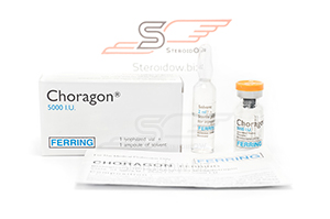 Choragon®